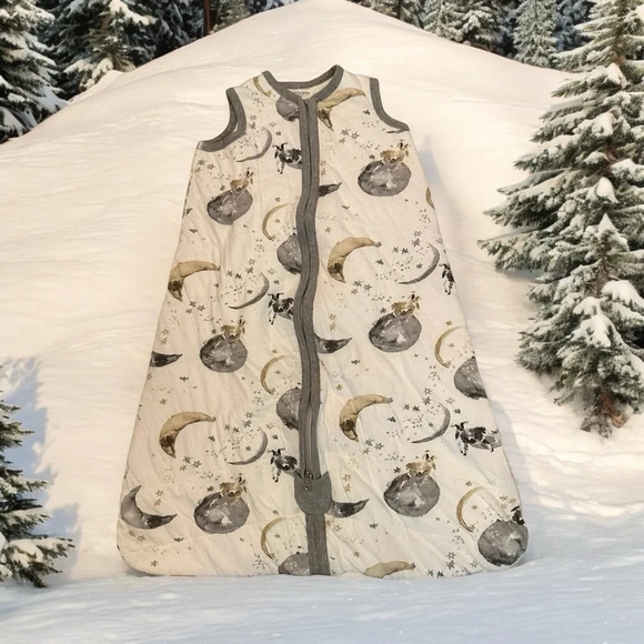 Burt's Bees Other - 💜💜2/$10💜💜 Burt’s Bees Baby Sleep Sack Blanket